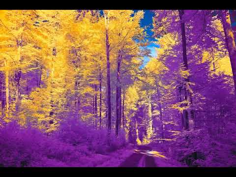 [FREE FOR PROFIT] Nothing Nowhere + Alternative Rock type beat "Oregon"