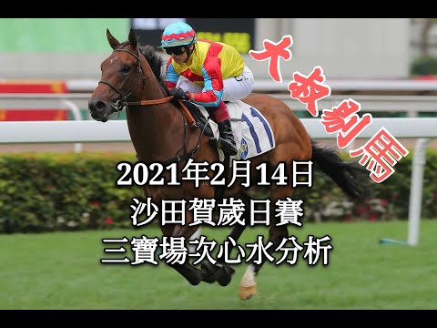 『大叔剔馬』香港賽馬 星期日沙田賀歲日賽 2021年2月14日 三寶場次賽事分析