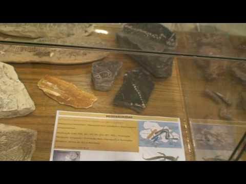 Biologia Ulbra Torres em exposição-biodiversidade balonismo 2009