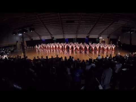 Opvisning SGE 18/19 til Opvisningsaften 2019 (gopro)