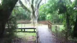 preview picture of video 'THE FAMOUS & HISTORIC JACKSON'S OAK IN DAPHNE, ALABAMA (Walking Tour)'