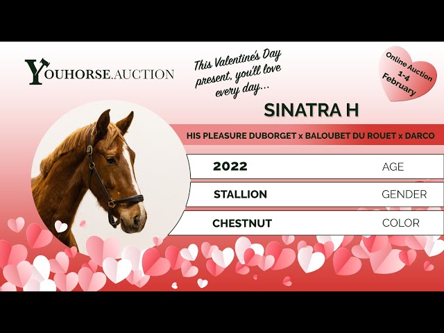 Sinatra H