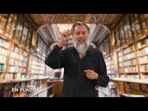 LA PALABRA EN PUNTO – Idioma o Lengua
