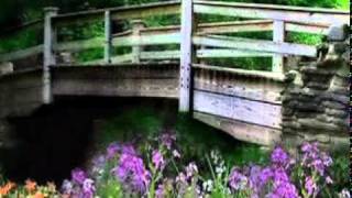 Talisman - Eu te-am iubit