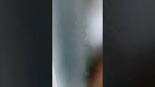 Download lagu Omg baby Milan likes to play video games too !!! mp3 Download lagu Omg baby Milan likes to play video games too !!! mp3