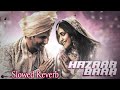 Baby John Song Hazaar Baar Lofi ArijitSingh Shreya Ghoshal Melody