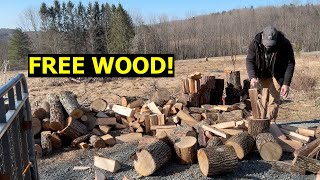 Splitting and Stacking FREE firewood - Woodstove