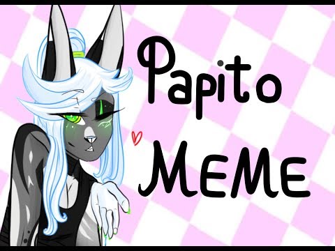 Papito Cachorrito - MEME (COLLAB!!!) W/Stariaat (READ DESCRIPTION!!)