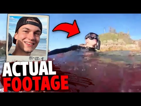 6 Most DISTURBING Animal Attacks In Shallow Water...