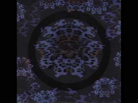 Leopard Flowers video