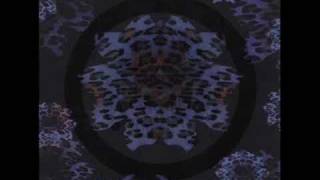 Death in June - Leopard Flowers