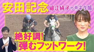 「復調気配あり！距離馬場問題なし」ガイアフォース、ステレンボッシュ、パンジャタワー・・・安田記念(ＧⅠ)を元ジョッキーの細江さんが徹底解説！＜細江純子のネタ帳＞
