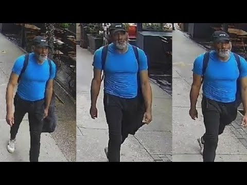 Suspect ID’d in assault of Steve Buscemi in NYC: police