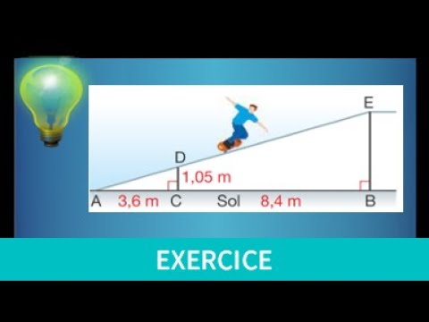 longueur d'une rampe de skateboard • théorème de Thalès + Pythagore • Quatrième Troisième