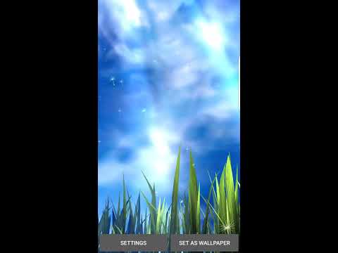 3D GRASS Live Wallpaper Video