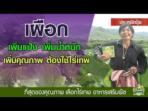 SDA-2 การรักษาความอ่อนแอของโรคมะเร็งนรีเวชและโรคอื่น ๆ การออกกำลังกายเพื่อเพิ่มความแข็งแรง
