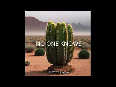 Kayka & SUBSTED! - No One Knows
