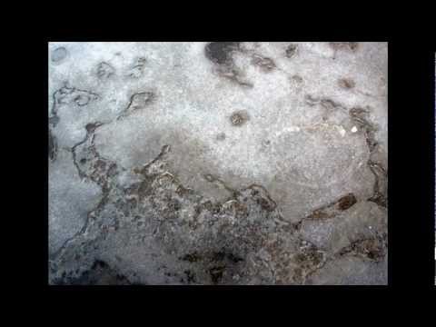 Vidna Obmana - Into Grey Divides