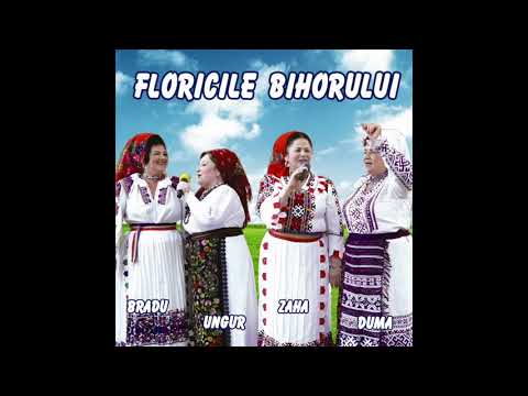 Floricile Bihorului - Hai buna sara