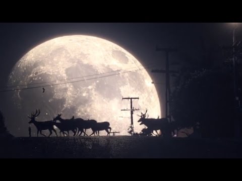 How did Alt.vfx create THAT Toohey's deer ad?