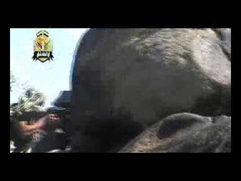 اشتباكات بين عناصر لواء أحفاد عثمان وقوات النظام في كفرنان