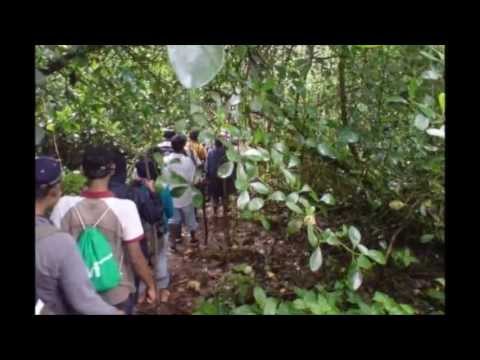 SARA SAVIYEDI HETA WITHARAI  Dayarathna Ranathungha