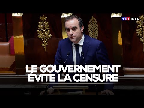 Le gouvernement évite la censure｜TF1 INFO