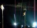 Circus Free Fall