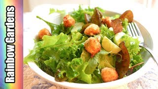 4K Easy, Warm Goat Cheese Ball Salad (No Recipe) + Harvest Fresh Lettuce from the Square Foot Garden