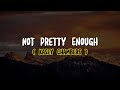 Kasey Chambers - Not Pretty Enough (Lyrics)