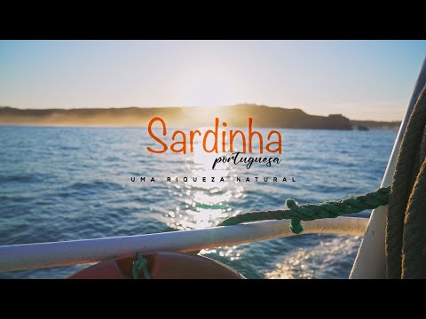 Sardinha Portuguesa. Uma riqueza natural.