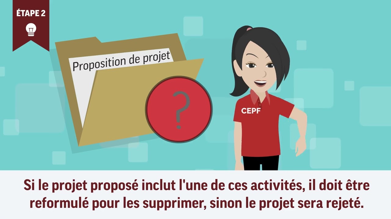 Aperçu: Gestion des risques environnementaux et sociaux sur le subventions du CEPF