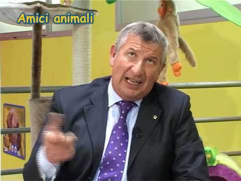 Amici Animali Integrale Parte 2