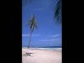 Giorgos Alkaios - Pali Monos Mou (Remix) dj ...
