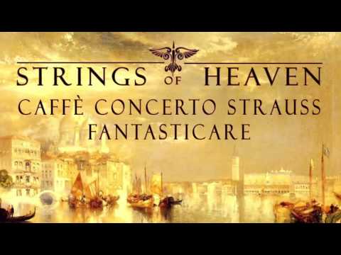 Classical Venice  -  Caffè Concerto Strauss - Venetia Italy | # 4