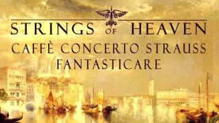 Classical Venice  -  Caffè Concerto Strauss - Venetia Italy | # 4