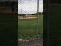 This was a homerun that was called foul but was obviously fair i would just like to show my hands in this video 