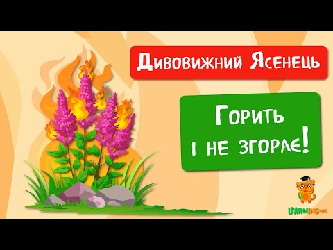 🍀 Дива природи. Явища навколо нас. Ясенець білий — Неопалима купина 🌏