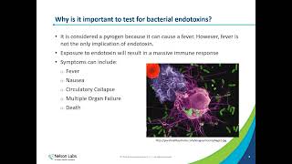 Endotoxin Retention Testing for Filters