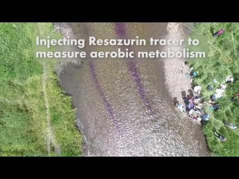 Using Drones for River Monitoring: Flying over the East River, CO.