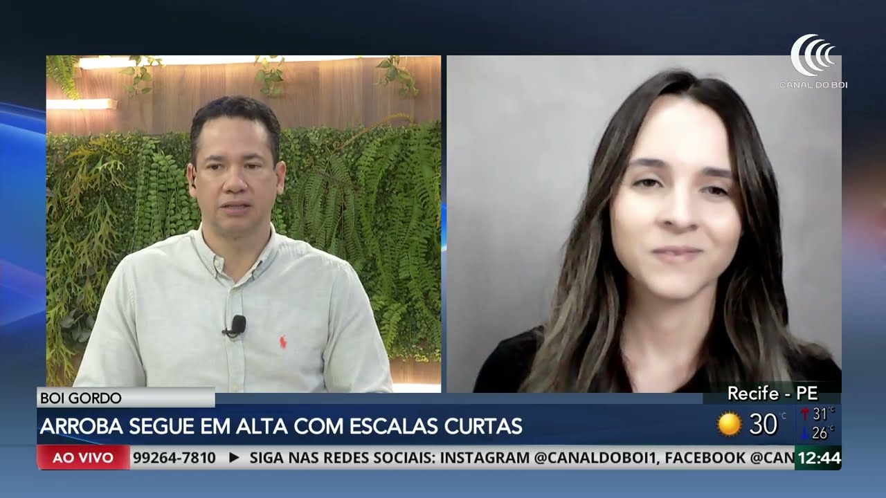 Boi gordo e reposição mantêm trajetória de valorização