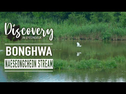 Naeseongcheon Stream in Bonghwa-gun / 봉화군 내성천