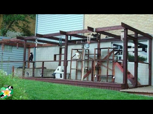 Vídeo relacionado con Letreros de patio de gatos con estacas, 3 letreros de jardín, diseño de ratones de persecución, arte de metal al aire libre para patio, decoración de camino de patio de animales