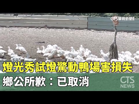 燈光秀試燈驚動鴨場害「60傷.40死」！　鄉公所歉：已取消