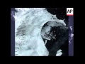 Satellite Images Of Gigantic Iceberg Which Has Broken Off Antarctic Ice Pack