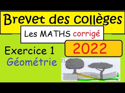 Brevet des collèges métropole 2022 (DNB) - Corrigé Maths ex1- Thalès Pythagore vitesse