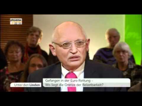 Euro-Rettung - Wo liegt die Grenze der Belastbarkeit? - Unter den Linden vom 16.01.2012