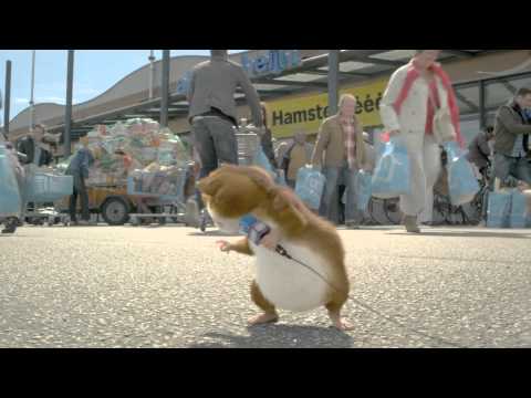 Grootse korting, groots inslaan tijdens de Hamsterweken