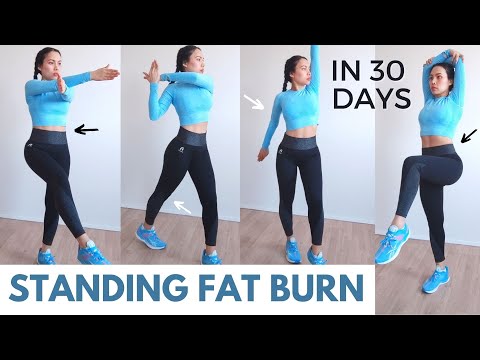 FULL BODY STANDING FAT LOSS, get flat abs in 30 days, no jumping, knee friendly