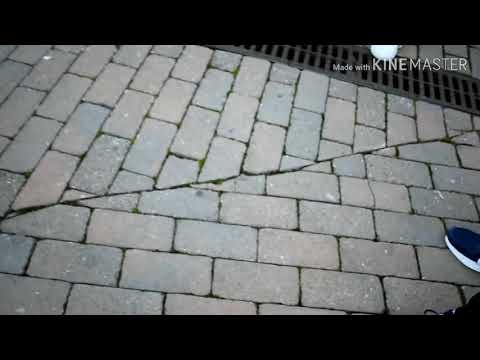 CAOS vs ELAZ | Cuartos 2°Clasificatoria Blood Battle